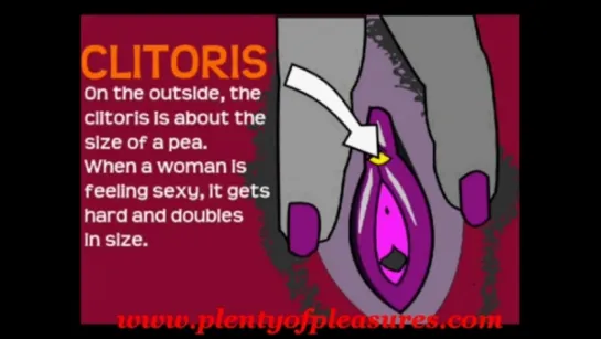 female-g-spot-prostate-and-ejaculation