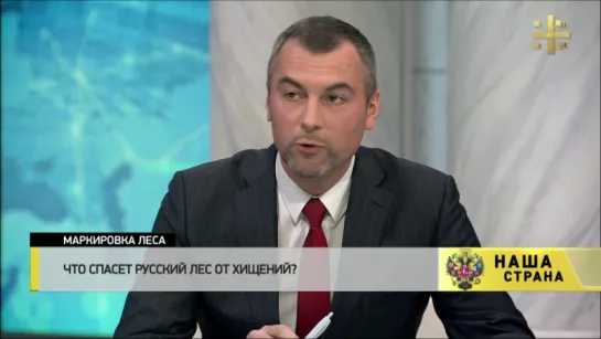 Александ Мариев о печальном лидерстве по вырубке русского леса