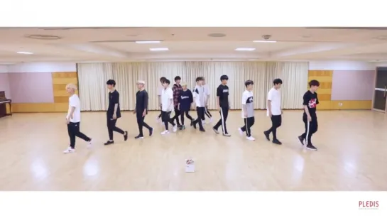 Seventeen - Don't Wanna Cry (Dance Practice) (Front Ver.)