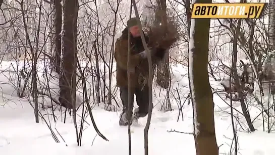 Как выжить зимой в лесу