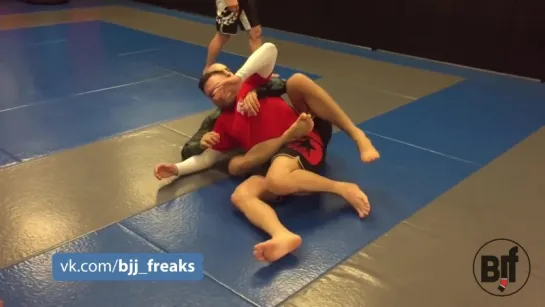 Shawn Williams How to Escape the Body Triangle