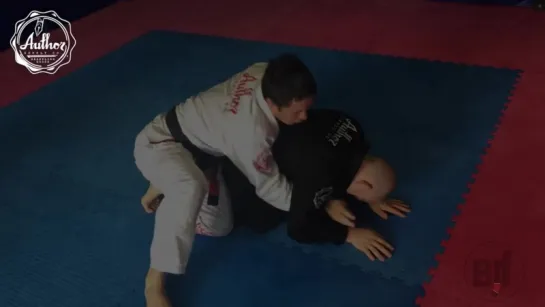 REECE MCLAREN -ATTACKING THE TURTLE -  KIMURA #техники_за_200 #bjj_freaks