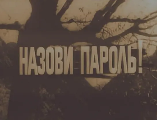 Назови пароль! (Югославия, 1971) [ЦВЕТНАЯ ВЕРСИЯ] партизанский, советский дубляж