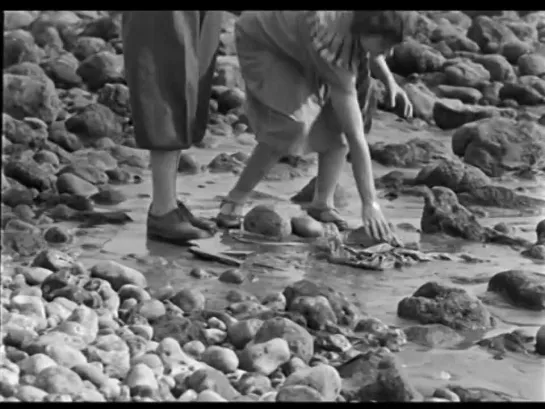 «Андалузский пес» (Un chien andalou)