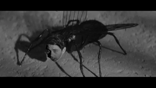 Возвращение мухи (1959) - Return of the Fly original sub eng