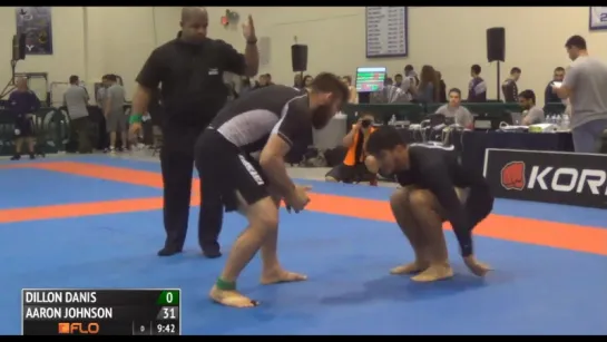 Dillon Danis vs Aaron Johnson 2016 IBJJF #PanNoGi16 абсол