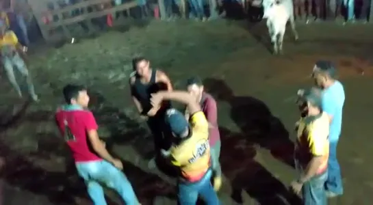 Briga geral na arena, até o boi entrou na confusão