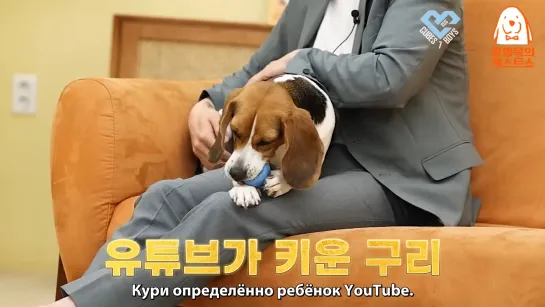 Ли Чансоб (BTOB) - Kang Hyeonguk's Dog Guest Show (рус.саб)