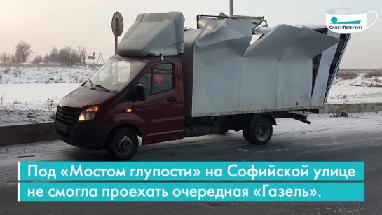 Юбилейная газель под «мостом глупости»