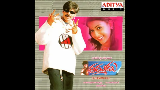 Рожденный побеждать / Thammudu (1999)