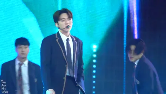 [Fancam][06.01.2019] The 33rd Golden Disc Awards