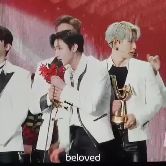 [Fancam][06.01.2019] The 33rd Golden Disc Awards (IM focus)