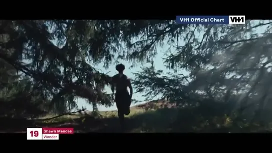 Shawn Mendes - Wonder (VH1 Italia) VH1 Official Chart. 19 место