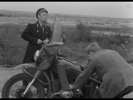 Берегись автомобиля (1966)