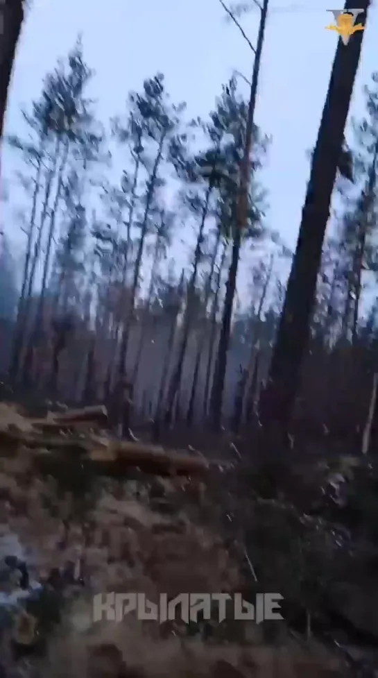 Видео от ROSGVARDIA_RUSSIA