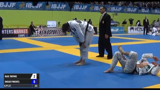 Raul Francisco Jimenez vs Enildo Pimentel IBJJF 2017 European