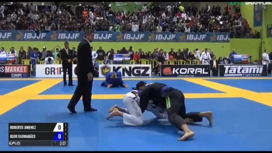 Roberto Jimenez vs Igor Guimaraes IBJJF 2017 European