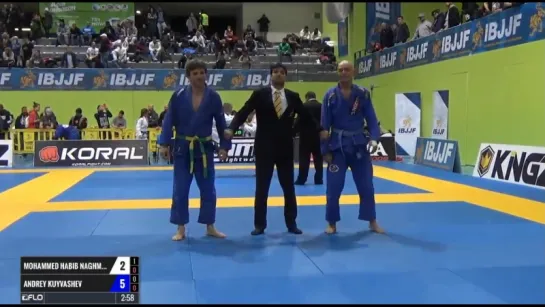 Mohammed Habib Naghm vs Andrey Kuyvashev #ibjjfeuro17 #bjj_freaks