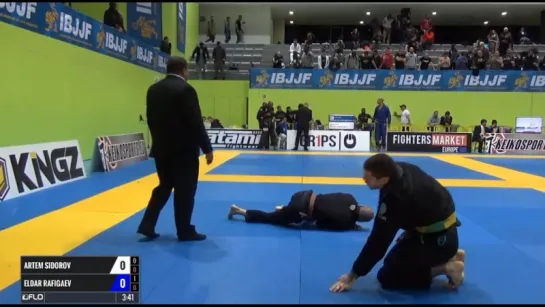 Artem Sidorov vs Eldar Rafigaev #ibjjfeuro17 #bjj_freaks