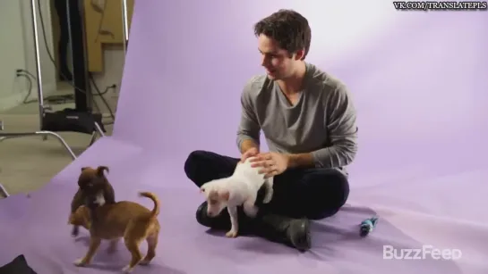 «Dylan OBrien From The Maze Runner Plays With Puppies» [RUS SUB]