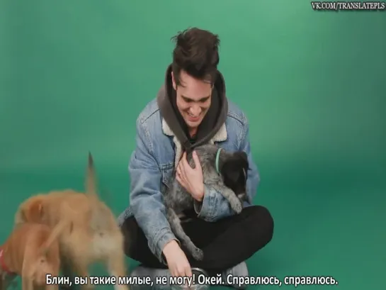 The Puppy Interview With Brendon Urie Of Panic! At The Disco [RUS SUB]