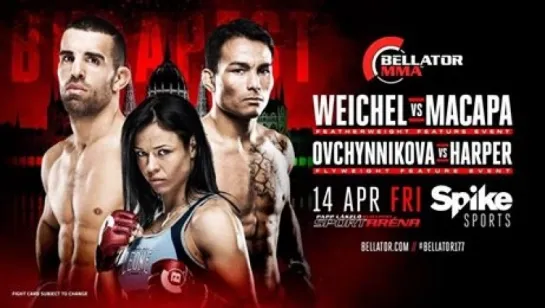 Lena Ovchynnikova vs Helen Harper Bellator 177 highlights