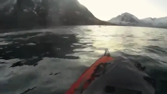 Каякист чуть не столкнулся с китом / Kayakist meets A Whale!