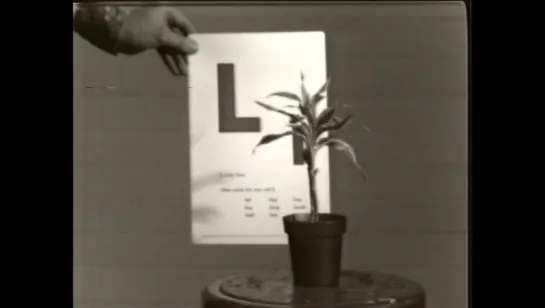 John Baldessari - Teaching a Plant the Alphabet (1972)