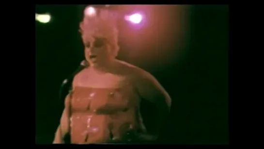 Divine - Jungle Jezebel (Live, The Hacienda, Manchester) (1983)