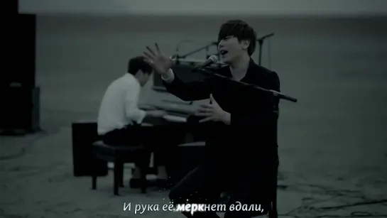 Park Hyo Shin - Wild Flower (рус. караоке)