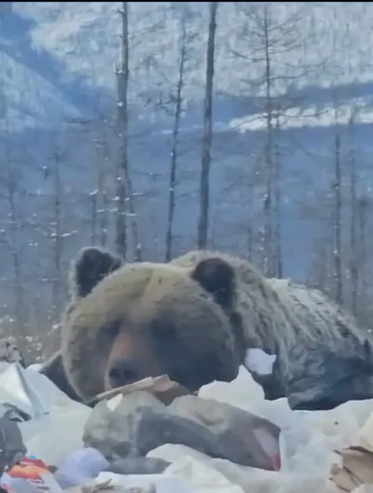 Видео от ТОПОР — Хранилище