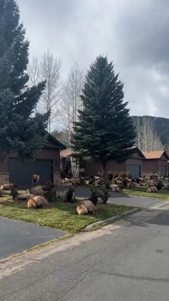 Видео от ТОПОР — Хранилище