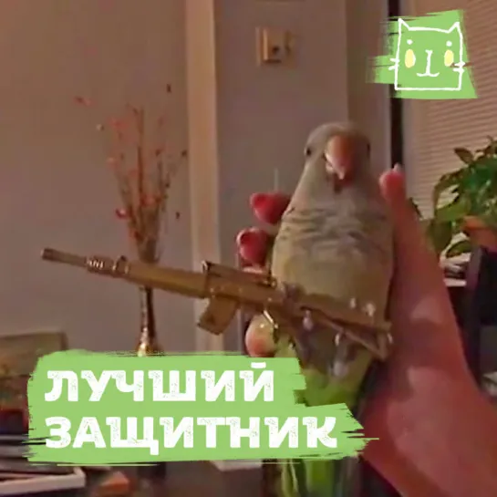 Настоящий защитник