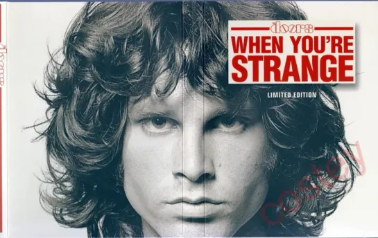 The.Doors.When.Youre.Strange.2009.HDTVRip.720p.x264-RUS-ENG-lrn