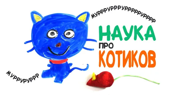 Научные факты о котиках [AsapSCIENCE]