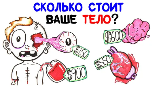 Сколько стоит ваше тело? [AsapSCIENCE]