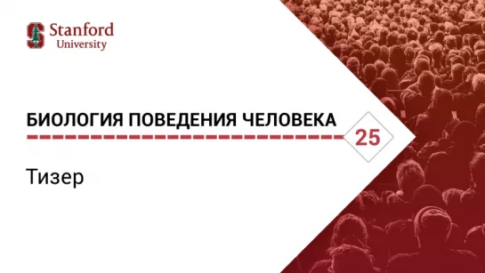 Биология поведения человека: Тизер #2 [Роберт Сапольски, 2010. Стэнфорд]