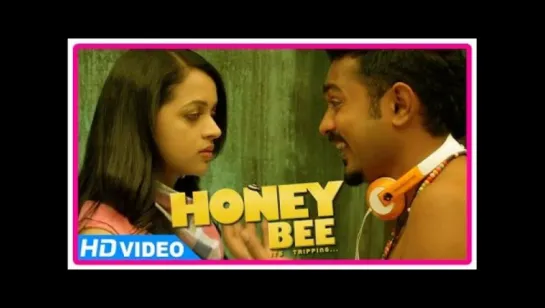 Honey Bee / Пчела