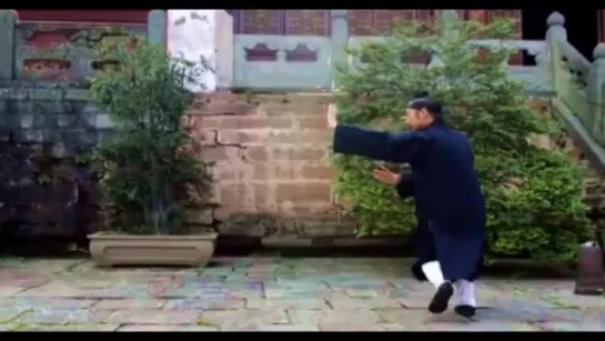 Wu Dang Wu Shu Ba Gua Zhang 武当武术 八卦掌 Xu Wei Han 许微含