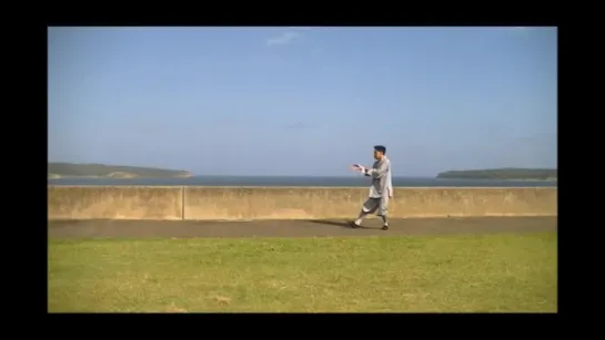 Sun Style Tai Chi (Fu Family lineage) 傅傳 孫式太極拳