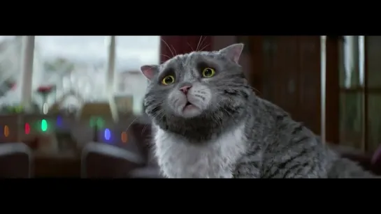 Sainsbury’s OFFICIAL Christmas Advert 2015 – Mog’s Christmas Calamity