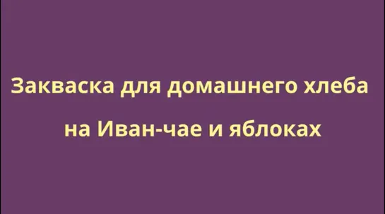 Вечно живущая закваска для  хлеба за 24 часа.