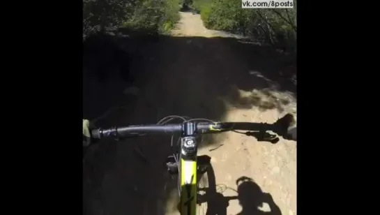 Велосипедист-райдер во время даунхилла сбивает медвежонка / alifornia mountain biker slams into bear in freak collision