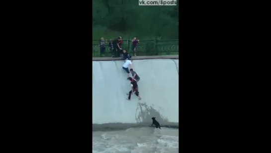 Мужики сделали живую цепь из людей, чтобы спасти собаку из воды / Good Samaritans form human chain to save dog