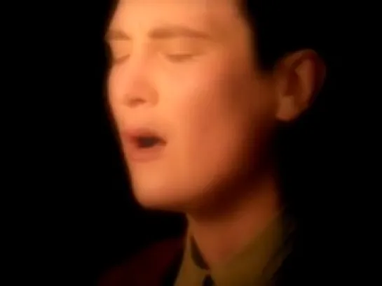 k.d. lang - Pullin' Back The Reins