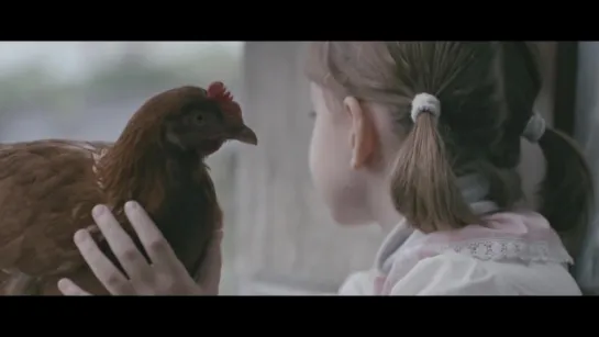 Курица / The Chicken (Trailer)