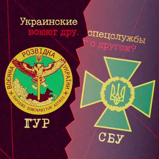 Спецслужбы Украины объявили охоту друг на друга?