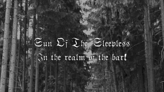 Sun Of The Sleepless - In The Realm Of The Bark [Official Lyric Video] 2017