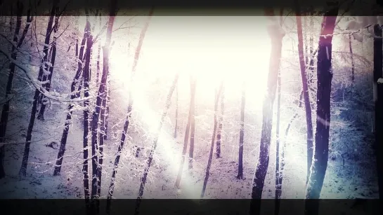 THORNBRIDGE - Ember In The Winter Grove [Official Lyric Video] 2019