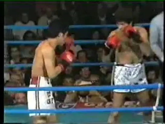 1988-05-07 Juan Martin Coggi vs Sang Ho Lee (WBA World light welterweight title)